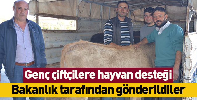 Genç çiftçilere hayvan desteği