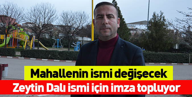Zeytin Dalı ismi için imza topluyor