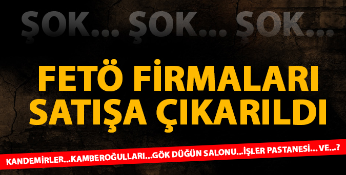 TMSF 6 firmayı satışa çıkardı