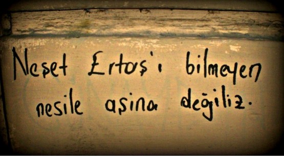 Neşet Ertaş enstitüsü