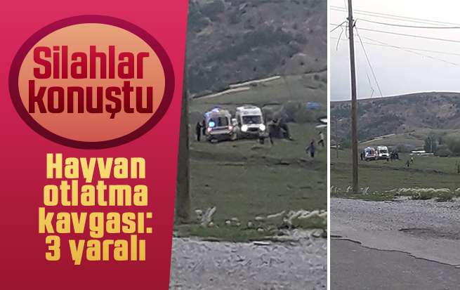 Hayvan otlatma kavgası: 3 yaralı