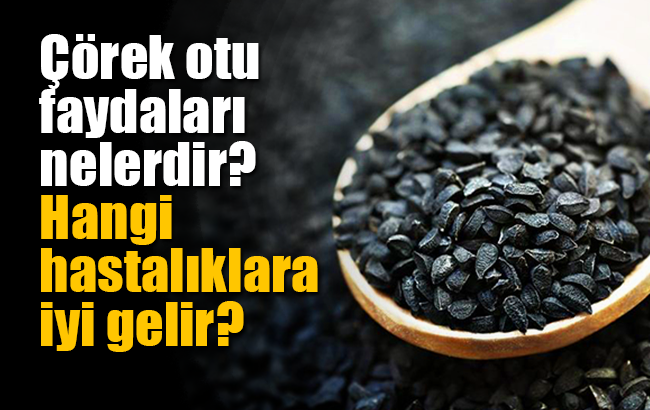Çörek otu faydaları nelerdir? Çörek otu hangi hastalıklara iyi gelir? Çörek otu yağının faydaları nelerdir?