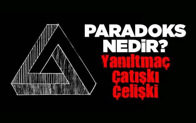 Paradoks nedir? Paradoks ne demek? 