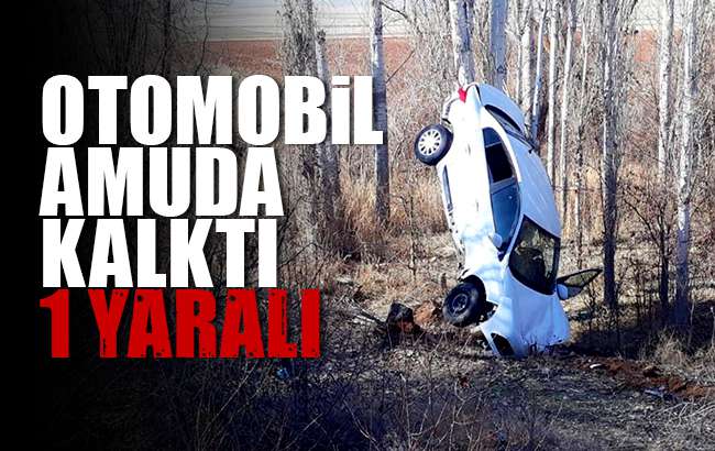 Kırıkkale’de ilginç trafik kazası, otomobil ’amuda’ kalktı: 1 yaralı