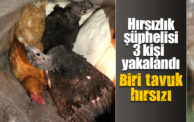 Kırıkkale'de iş yerinden ve evlerden hırsızlık yaptıkları öne sürülen 2 şüpheli tutuklandı