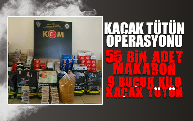 Kaçak tütün operasyonunda 1 kişi yakalandı