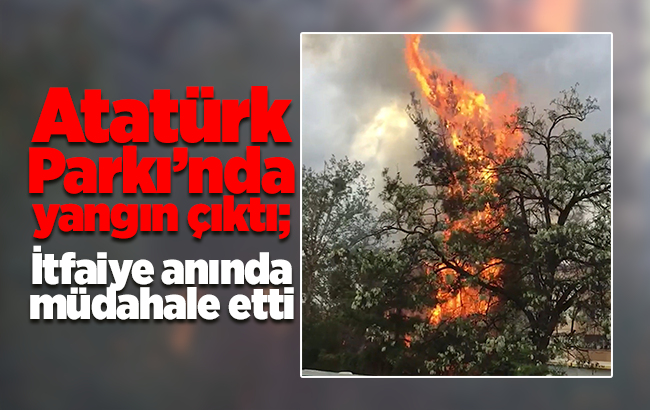 Atatürk Parkı’nda yangın çıktı; İtfaiye anında müdahale etti