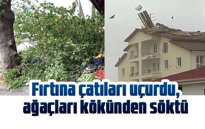 Fırtına çatıları uçurdu, ağaçları kökünden söktü