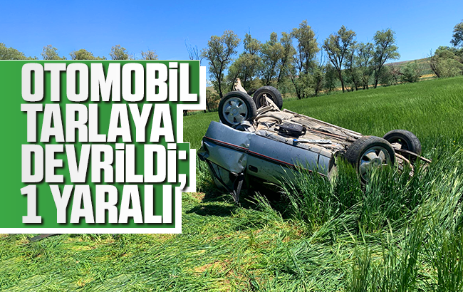 Otomobil tarlaya devrildi: 1 yaralı