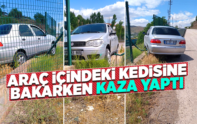 Araç içindeki kedisine bakarken kaza yaptı