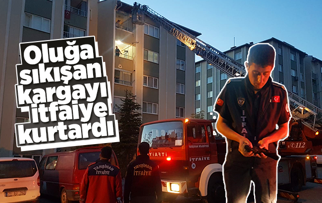 Oluğa sıkışan kargayı itfaiye kurtardı