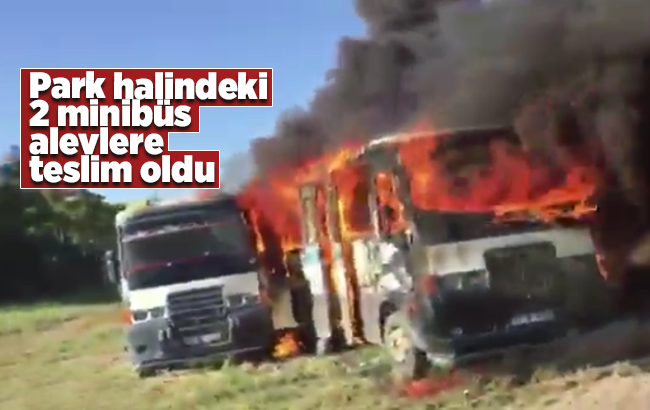 Park halindeki 2 minibüs alevlere teslim oldu