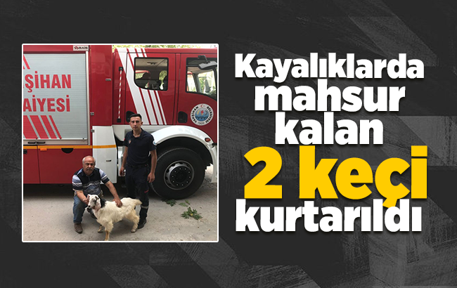 Kayalıklarda mahsur kalan 2 keçi kurtarıldı