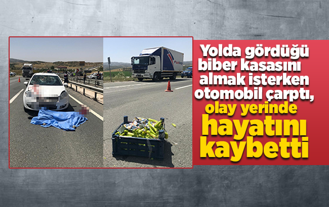Yolda gördüğü biber kasasını almak isterken canından oldu
