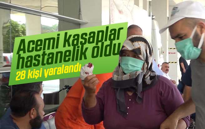 Acemi kasaplar hastanelik oldu