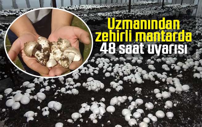 Uzmanından zehirli mantarda 48 saat uyarısı