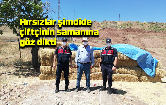 Hırsızlar şimdide çiftçinin samanına göz dikti: Jandarma PTS’den tespit etti, hırsızı yakaladı