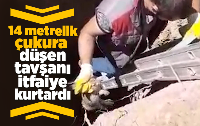 Definecilerin açtığı 14 metrelik çukura düşen tavşanı itfaiye kurtardı