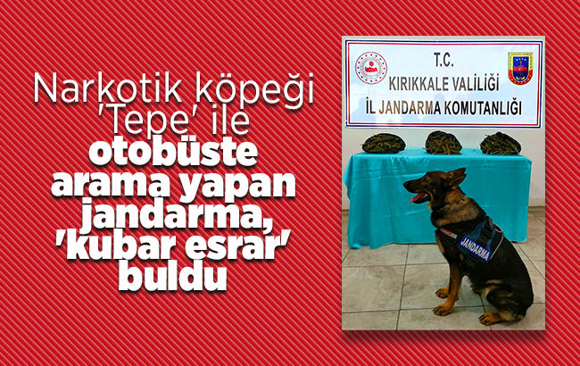 Narkotik köpeği 'Tepe' ile otobüste arama yapan jandarma, 'kubar esrar' buldu