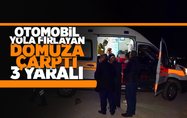 Otomobil yola fırlayan domuza çarptı: 3 yaralı