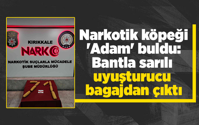 Narkotik köpeği 'Adam' buldu: Bantla sarılı uyuşturucu bagajdan çıktı