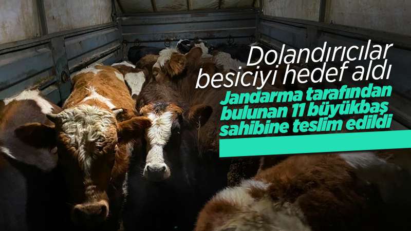 Besiciyi hedef alan dolandırıcılar yakalandı