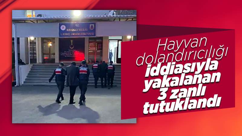 Kırıkkale'de hayvan dolandırıcılığı iddiasıyla yakalanan 3 zanlı tutuklandı