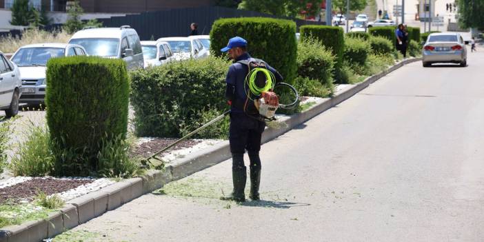 Şehir genelinde yabani otlar temizleniyor
