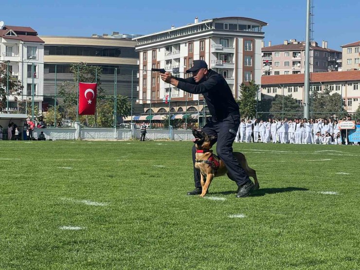 Jandarma köpeği Nefes becerileriyle izleyenlerden tam not aldı