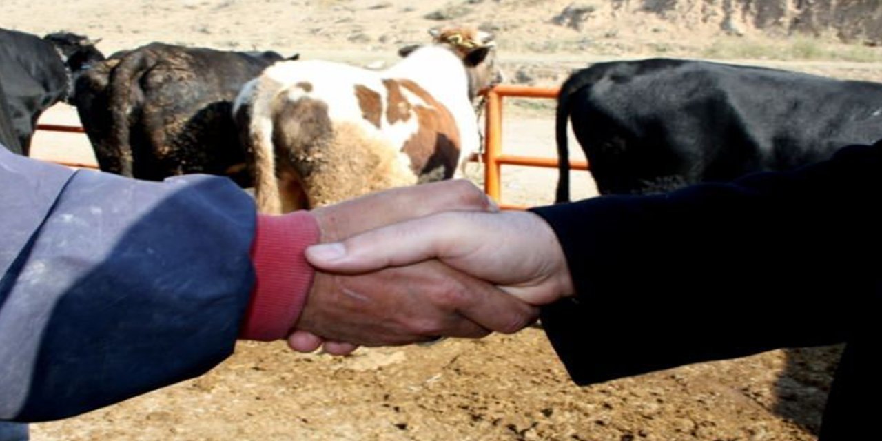 kurban-bayrami-2.jpg
