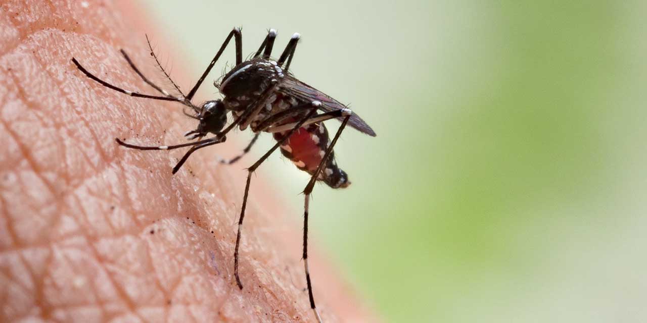 sivrisineklere-karsi-uzmanindan-uyari-1.jpg