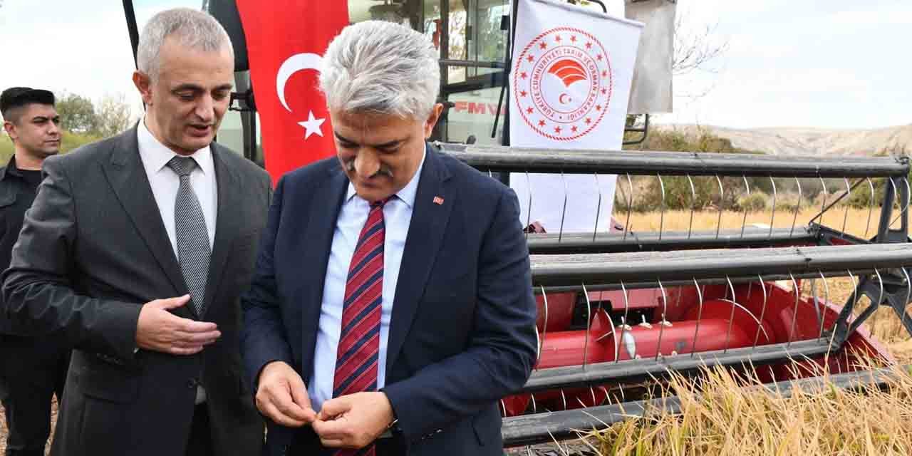 ciftci-jpg4.jpg