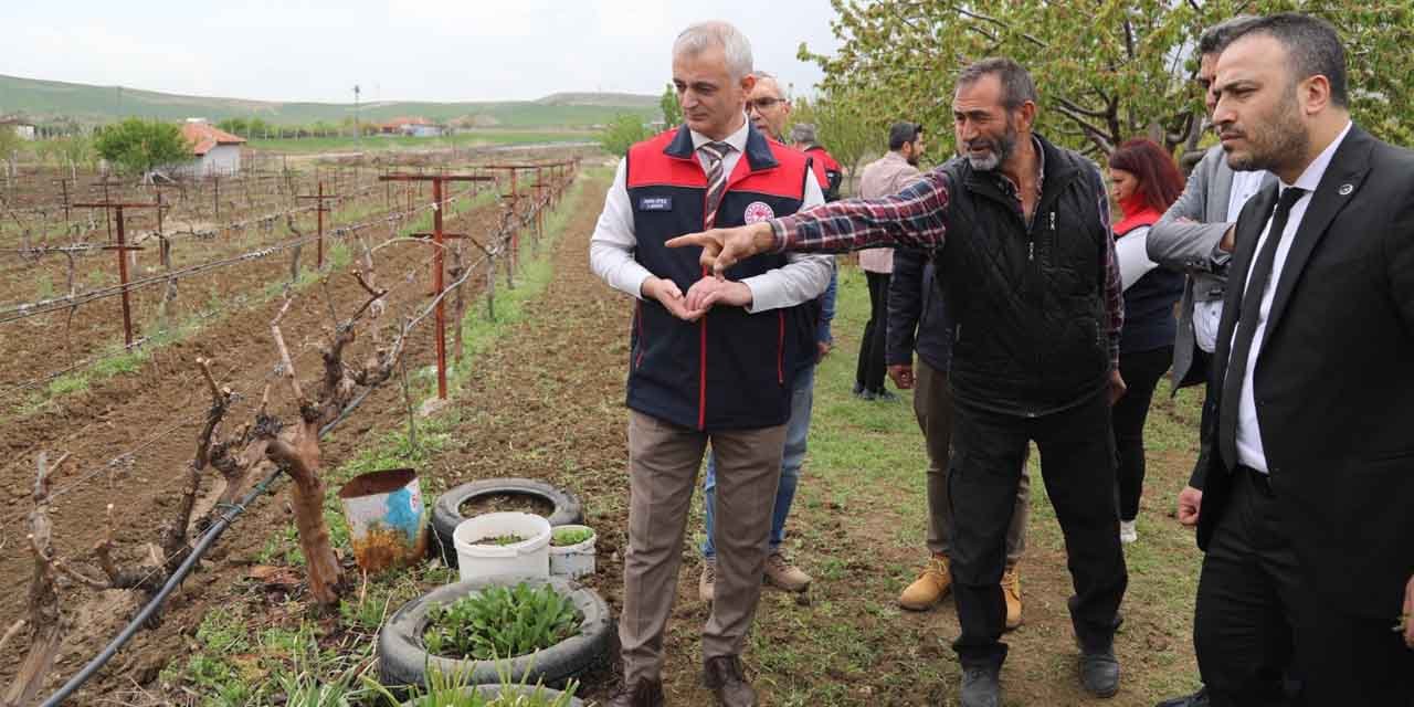 cumhur-ittifaki-zira-don-olaylarini-yerinde-inceledi3.jpg