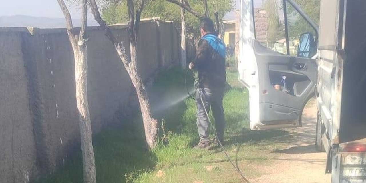 keskinde-yabani-otlar-temizleniyor2.jpg