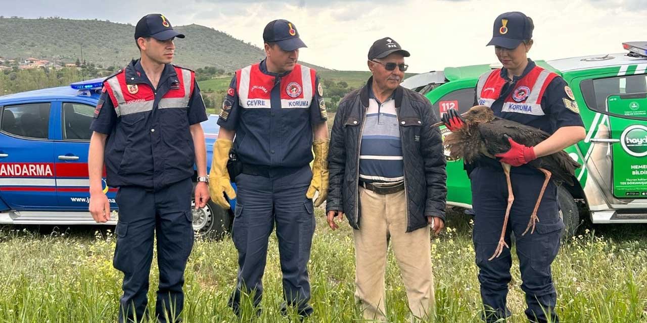 yarali-karaleylek-tedavi-altina-alindi2.jpg