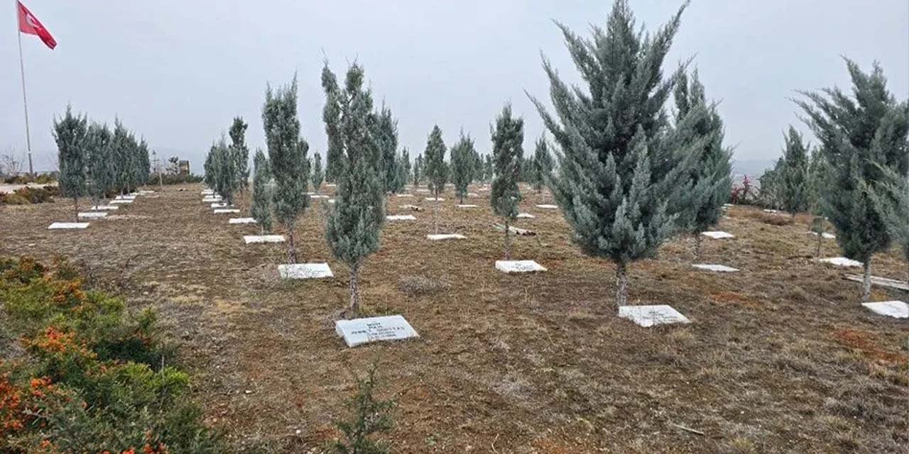 ehitler-aniti-herkesi-duygulandiriyor3.jpg