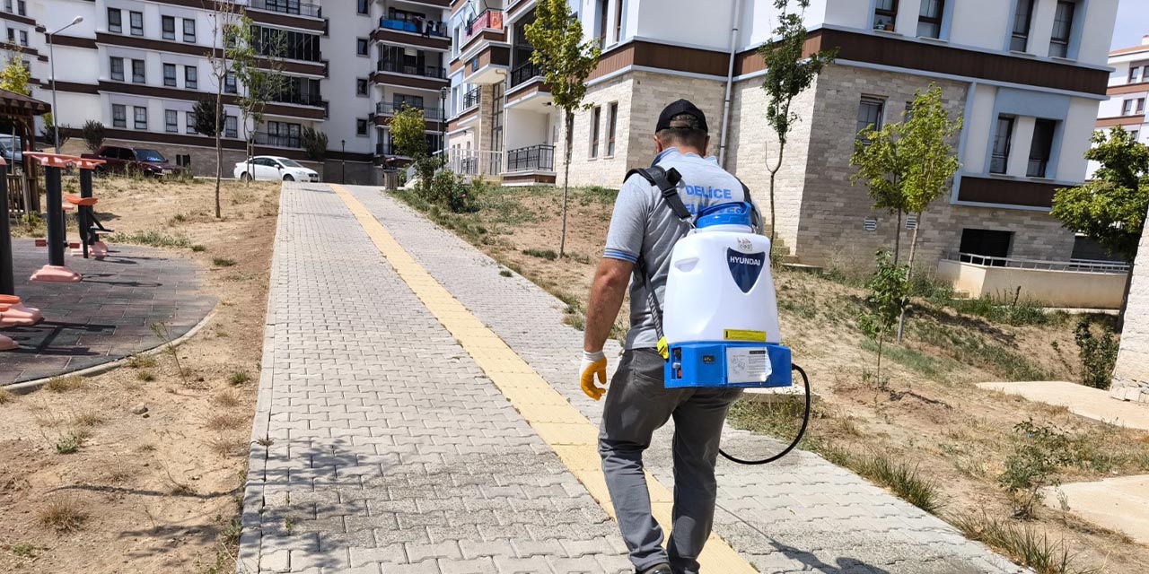 delicede-hasereyle-mucadele-ediliyor2.jpg