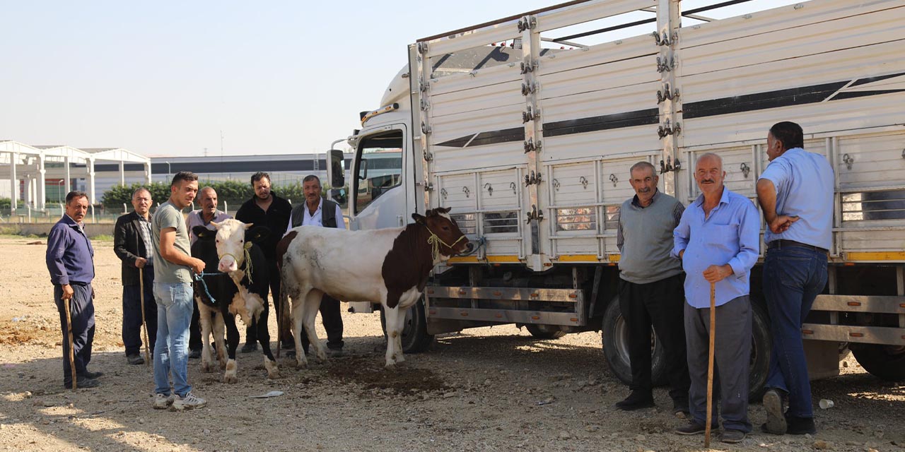 hayvan-pazari-tamamen-yeniden-hizmete-acildi-22.jpg