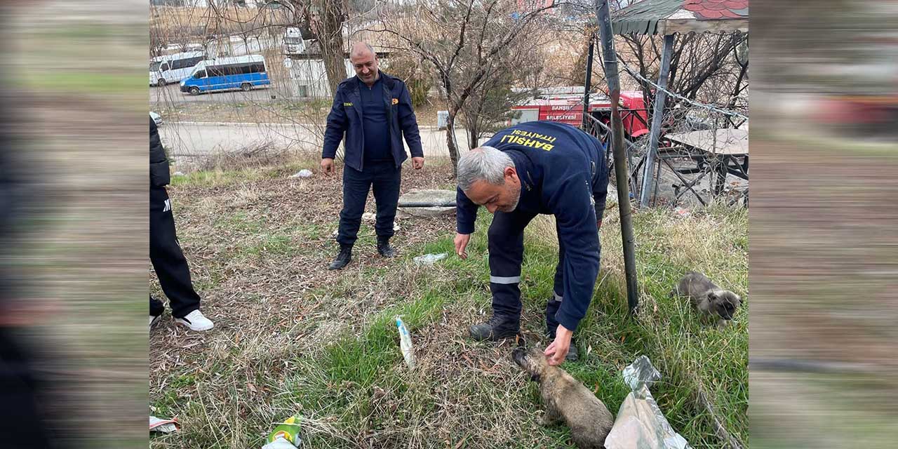 kopek-yavrusunu-itfaiye-ekipleri-kurtardi-2.jpg