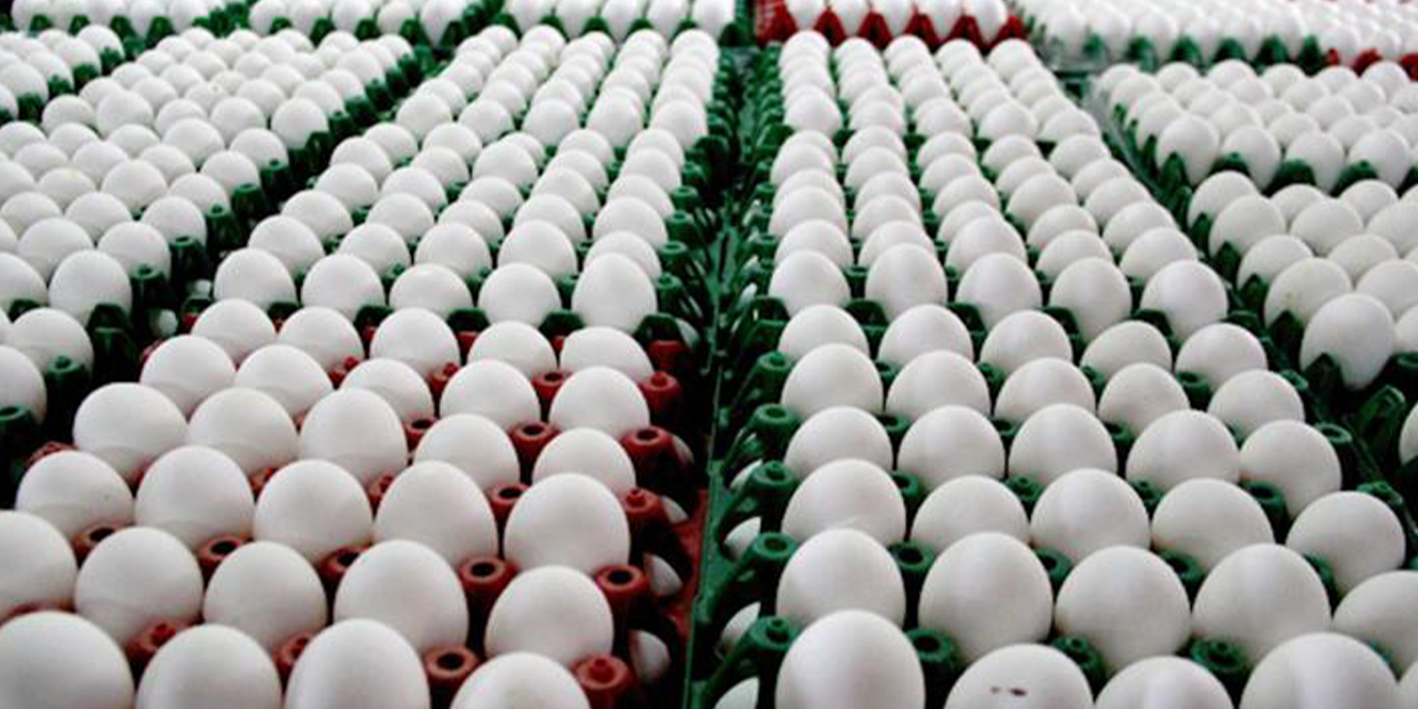 186-milyar-adet-tavuk-yumurtasi-uretildi-2.jpg