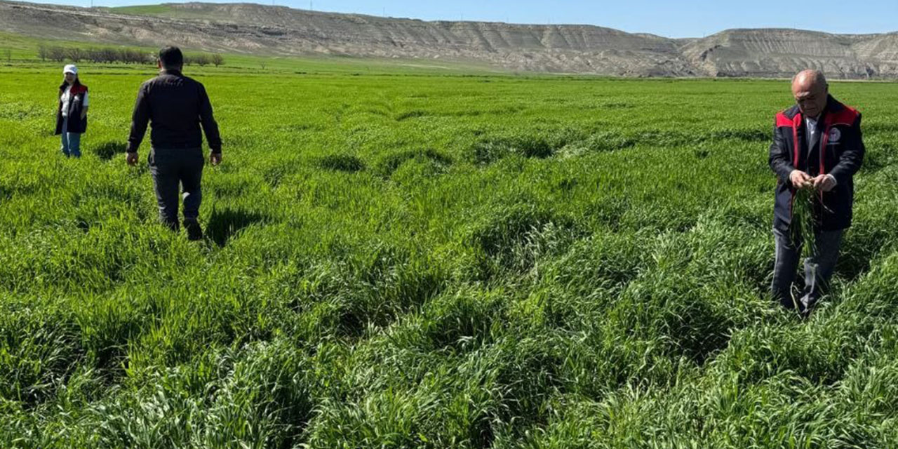 tarim-ekipleri-denetimlerini-siklastirdi-2.jpg
