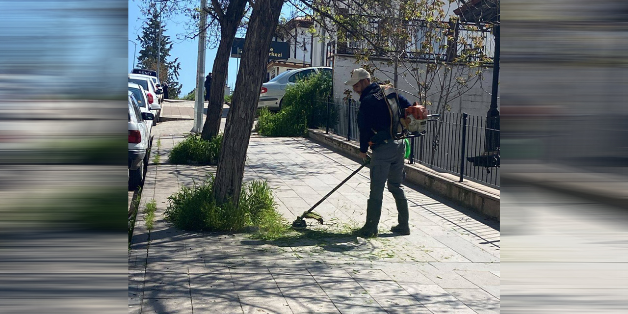 mahalle-aralarinda-yabani-otlar-temizleniyor2.jpg