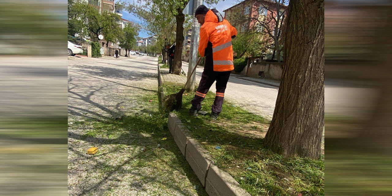 mahalle-aralarinda-yabani-otlar-temizleniyor3.jpg