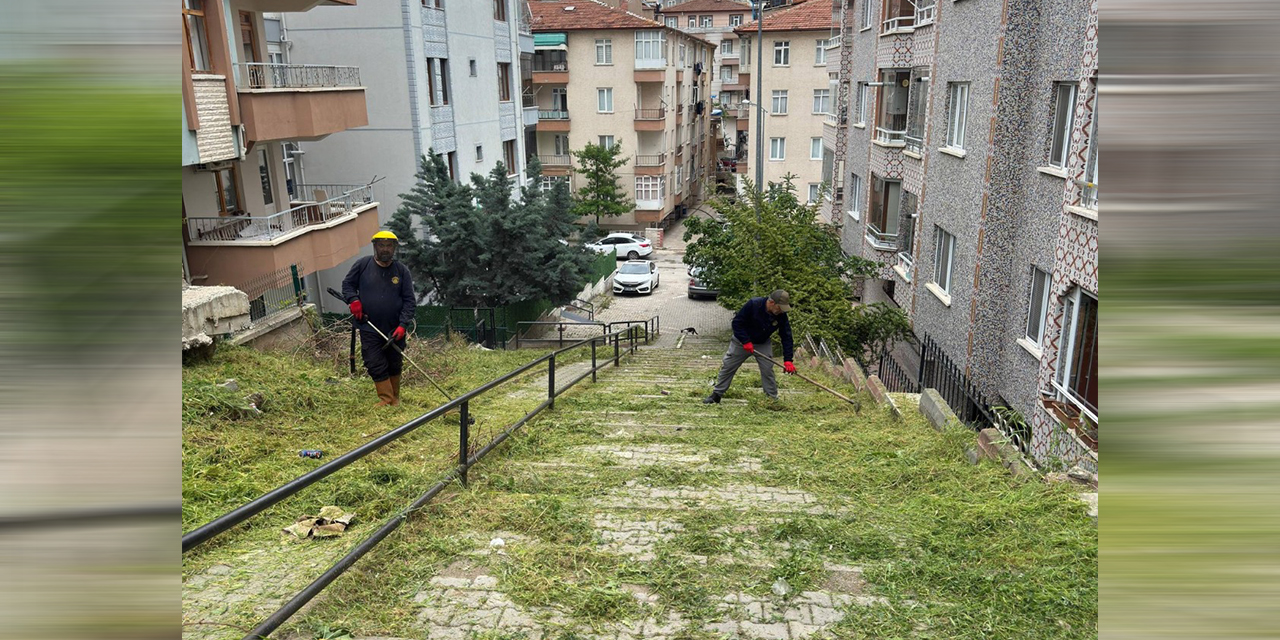 merdivenli-yol-otlardan-temizlendi2.jpg