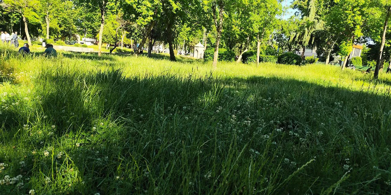 kirikkalede-koylerde-buyuk-tehlike-mudahale-edilmeli-3.jpg