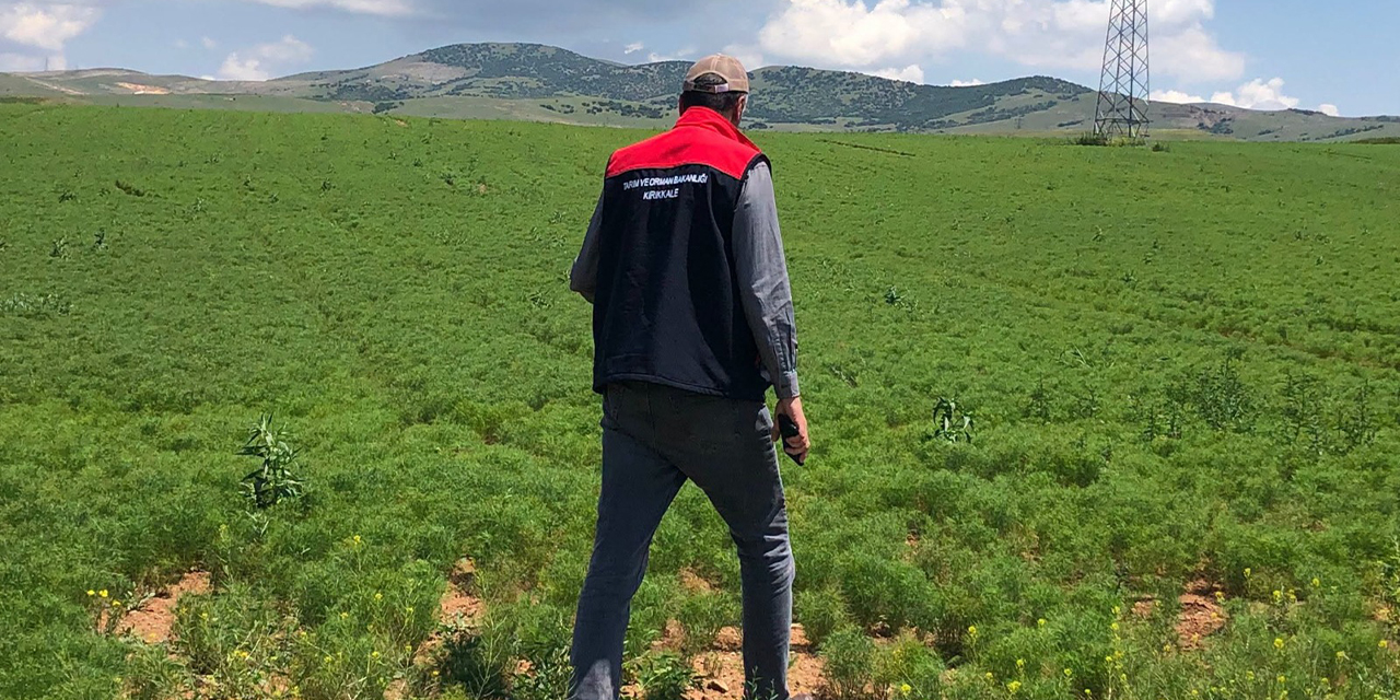 tarlada-urun-beyan-kontrolleri-yapiliyor2.jpg