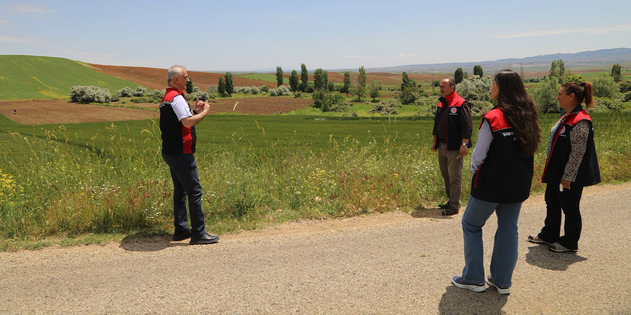yerli-ve-milli-bugday-cesitleri-sahada-test-ediliyor3.jpg