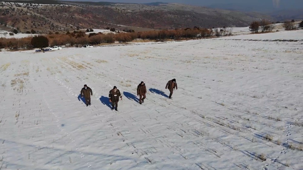 600d8b2c7625b-Bozkırın yaban hayatı korunuyor.jpg