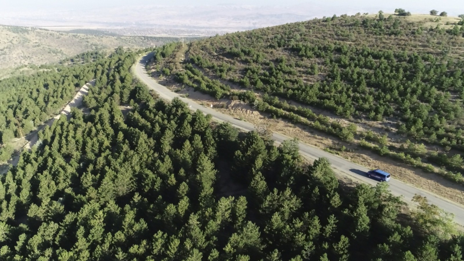 610cecc374b30-Kırıkkale’de ormanlık alanlar anbean kontrol ediliyor.jpg