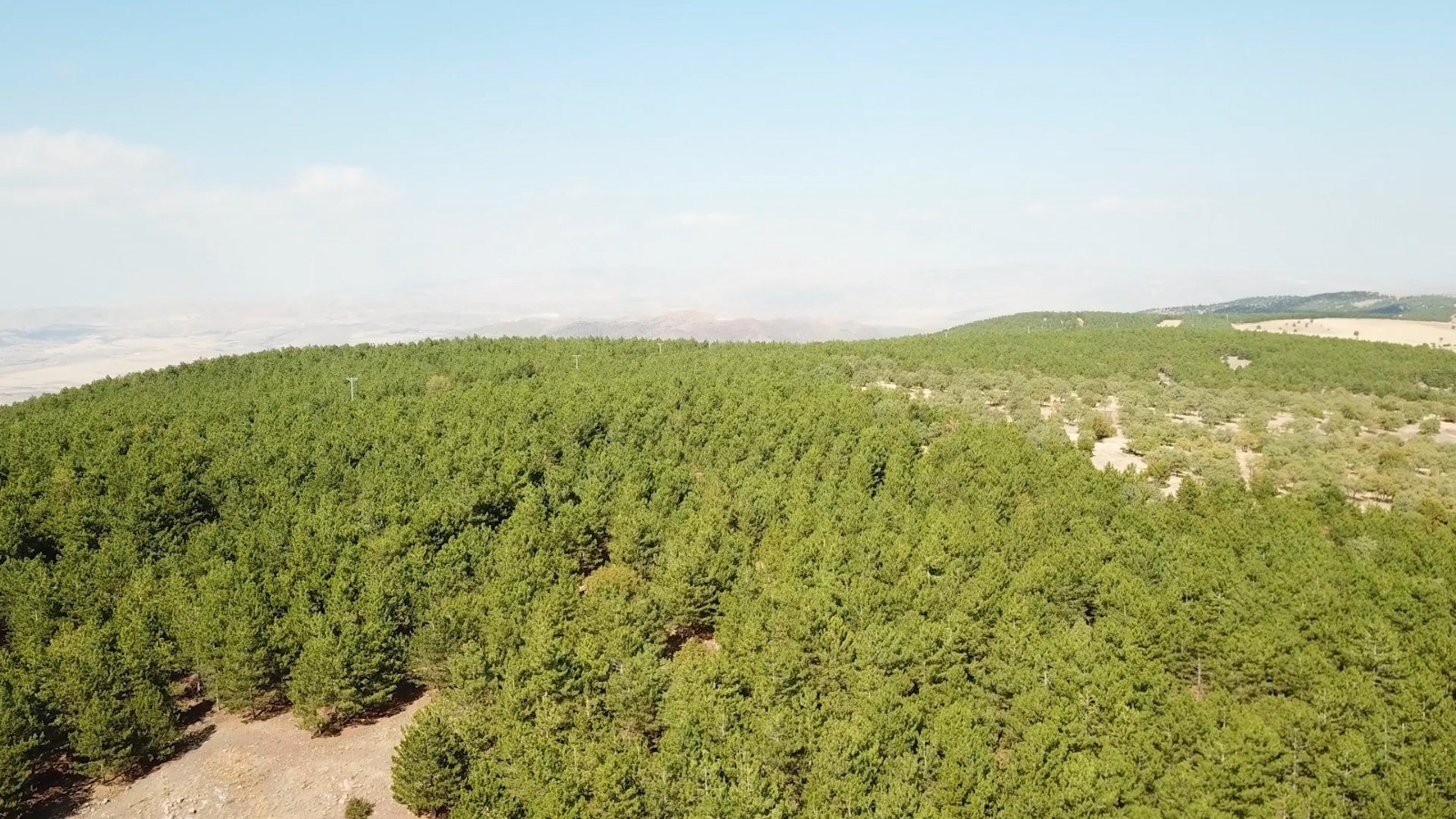 610cecc70e781-Kırıkkale’de ormanlık alanlar anbean kontrol ediliyor.jpg